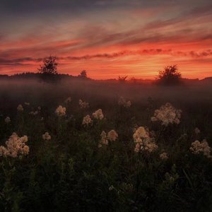 优秀处女开苞高潮毛片
