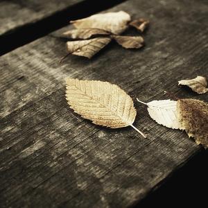 优秀处女开苞高潮毛片
